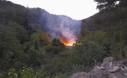 Adana’nın Feke ilçesinde bahçede çıkan yangın söndürüldü