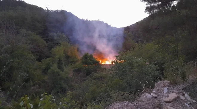 Adana’nın Feke ilçesinde bahçede çıkan yangın söndürüldü